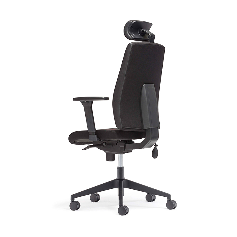 Mejor silla administrativa de reposapiés de respaldo alto con soporte lumbar ajustable - e4 gamma 